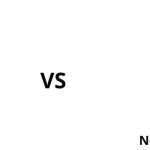 North Face Surge vs Borealis