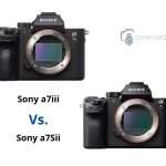 Sony a7sii vs a7iii