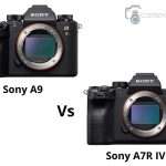 Sony a9 vs a7riv