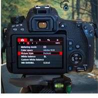 Canon Rebel T7 Settings For Outdoor Portraits